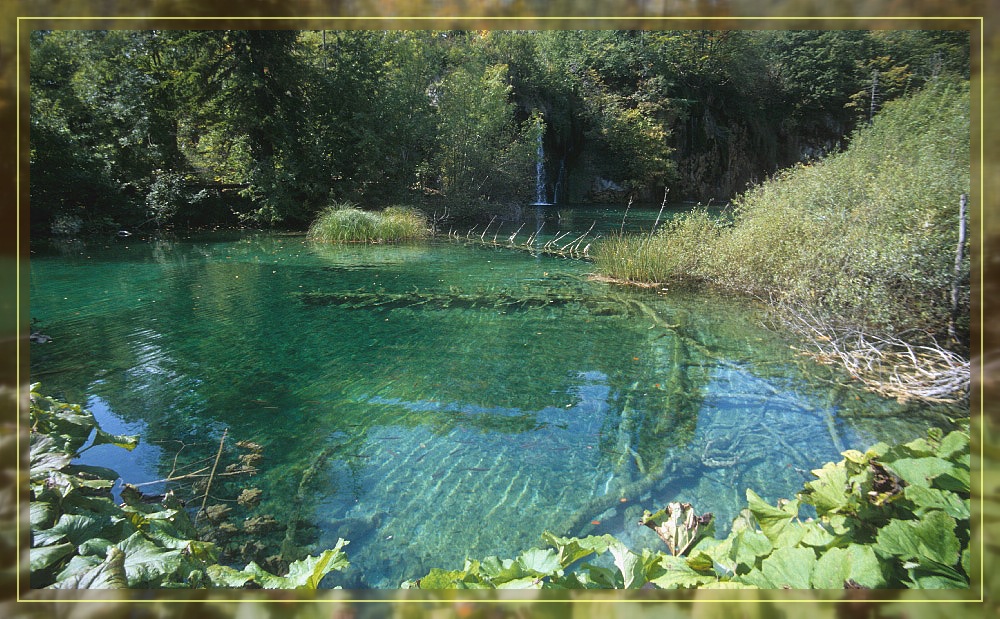 Waldsee