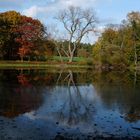 Waldsee