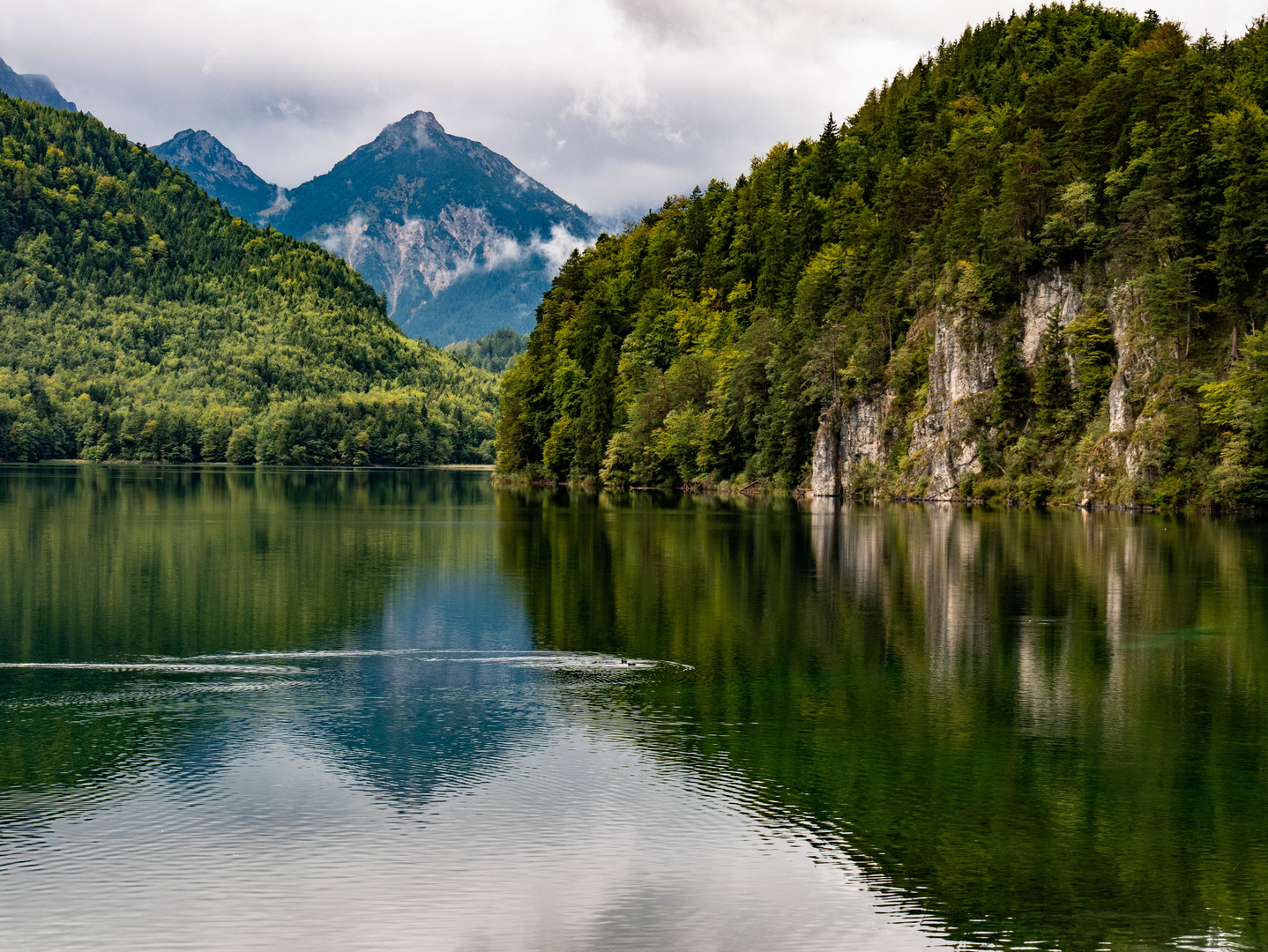 Waldsee Foto &amp; Bild | landschaft, berge, natur Bilder auf fotocommunity