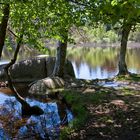 Waldsee