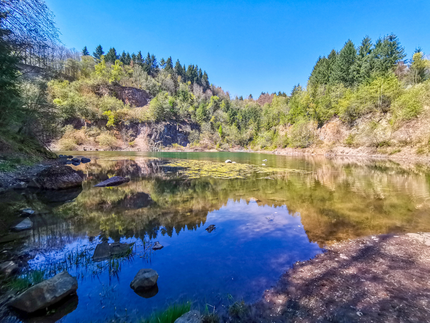 Waldsee Foto &amp; Bild | landschaft, bach, fluss &amp; see, fotos Bilder auf ...