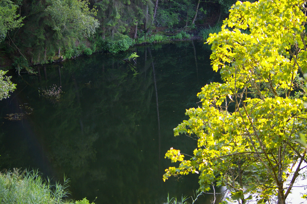 Waldsee 2