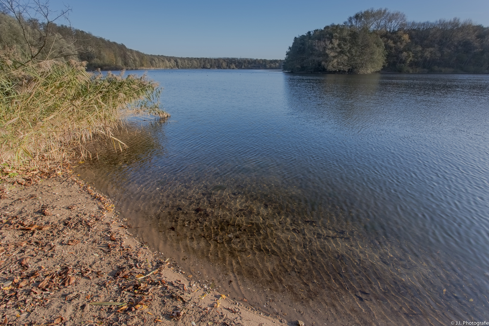 Waldsee 2