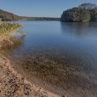 Waldsee 2