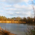 Waldsee 2