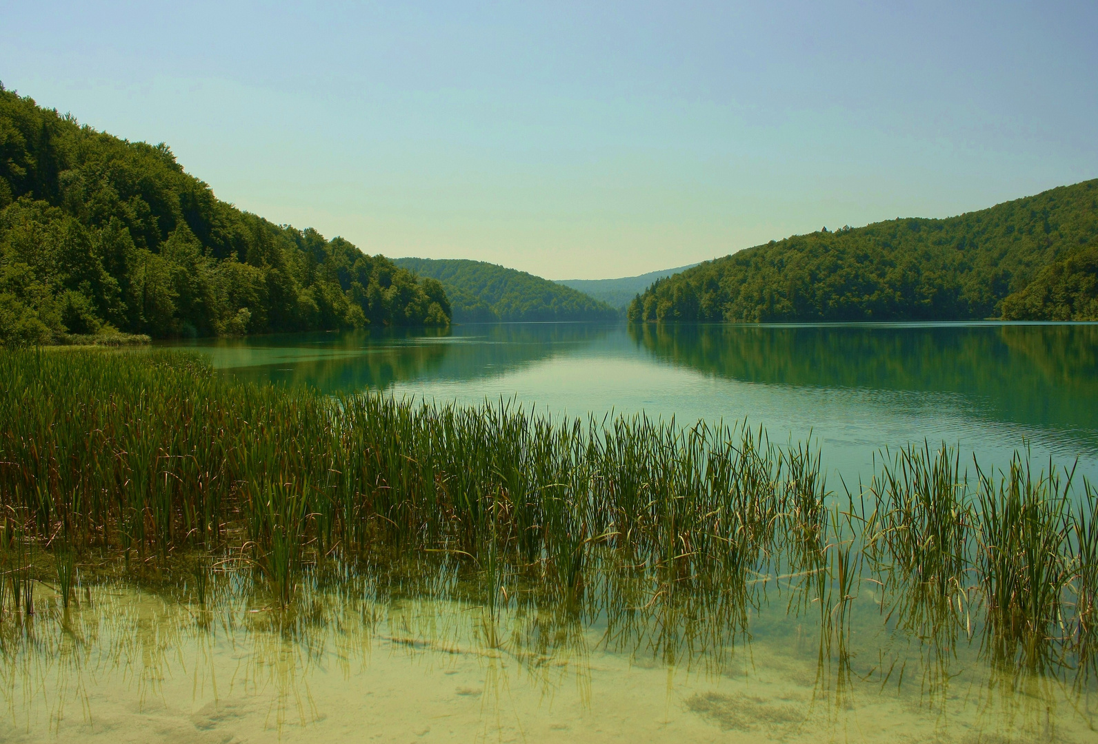 Waldsee Foto &amp; Bild | landschaft, bach, fluss &amp; see, see, teich ...