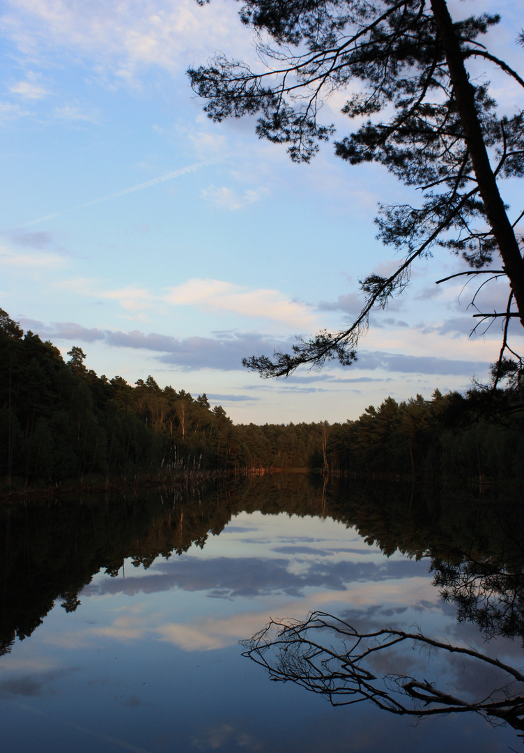 Waldsee