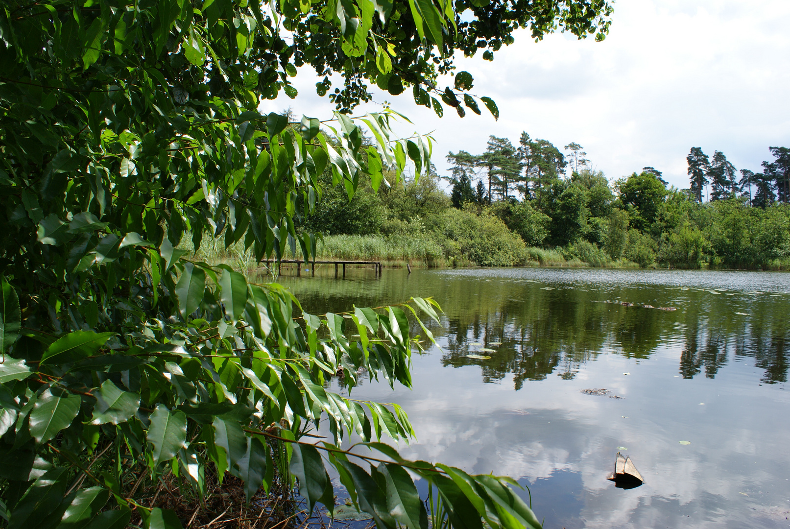 Waldsee