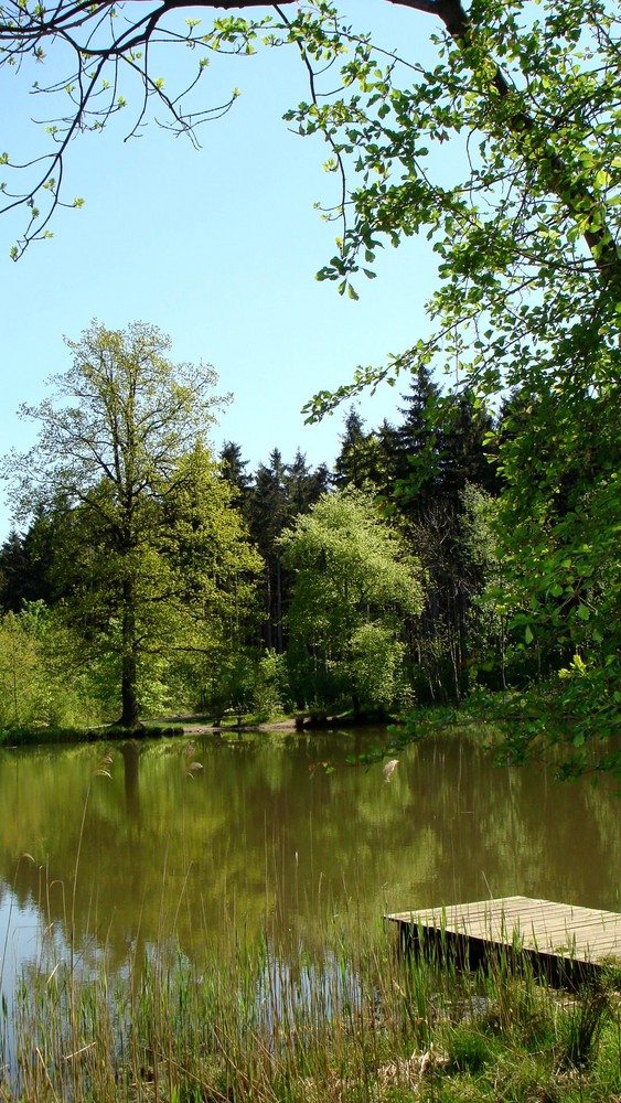 Waldsee