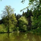 Waldsee