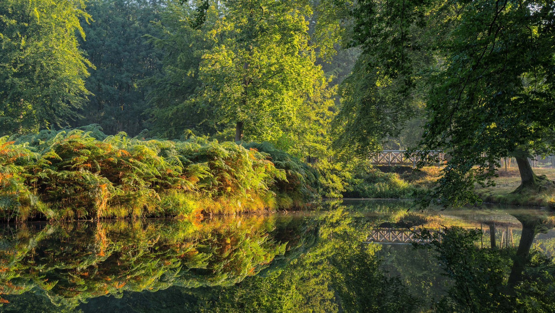 Waldsee