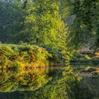 Waldsee