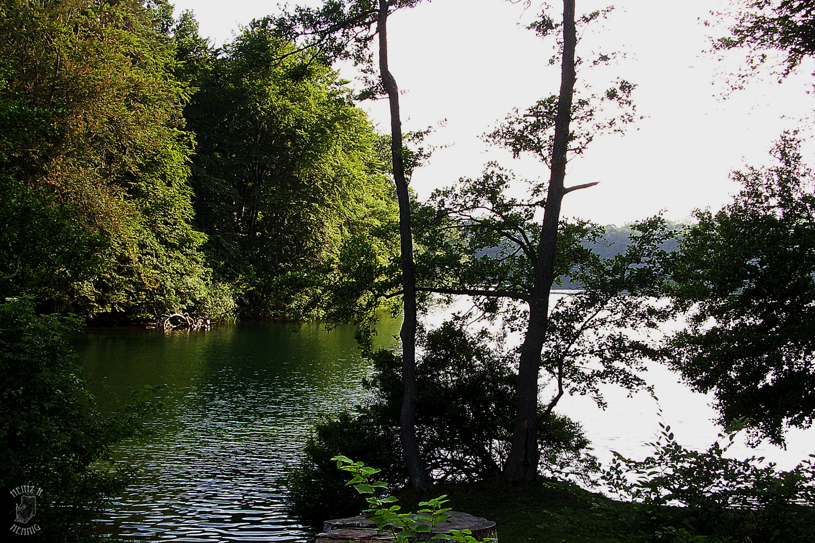 Waldsee