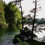 Waldsee