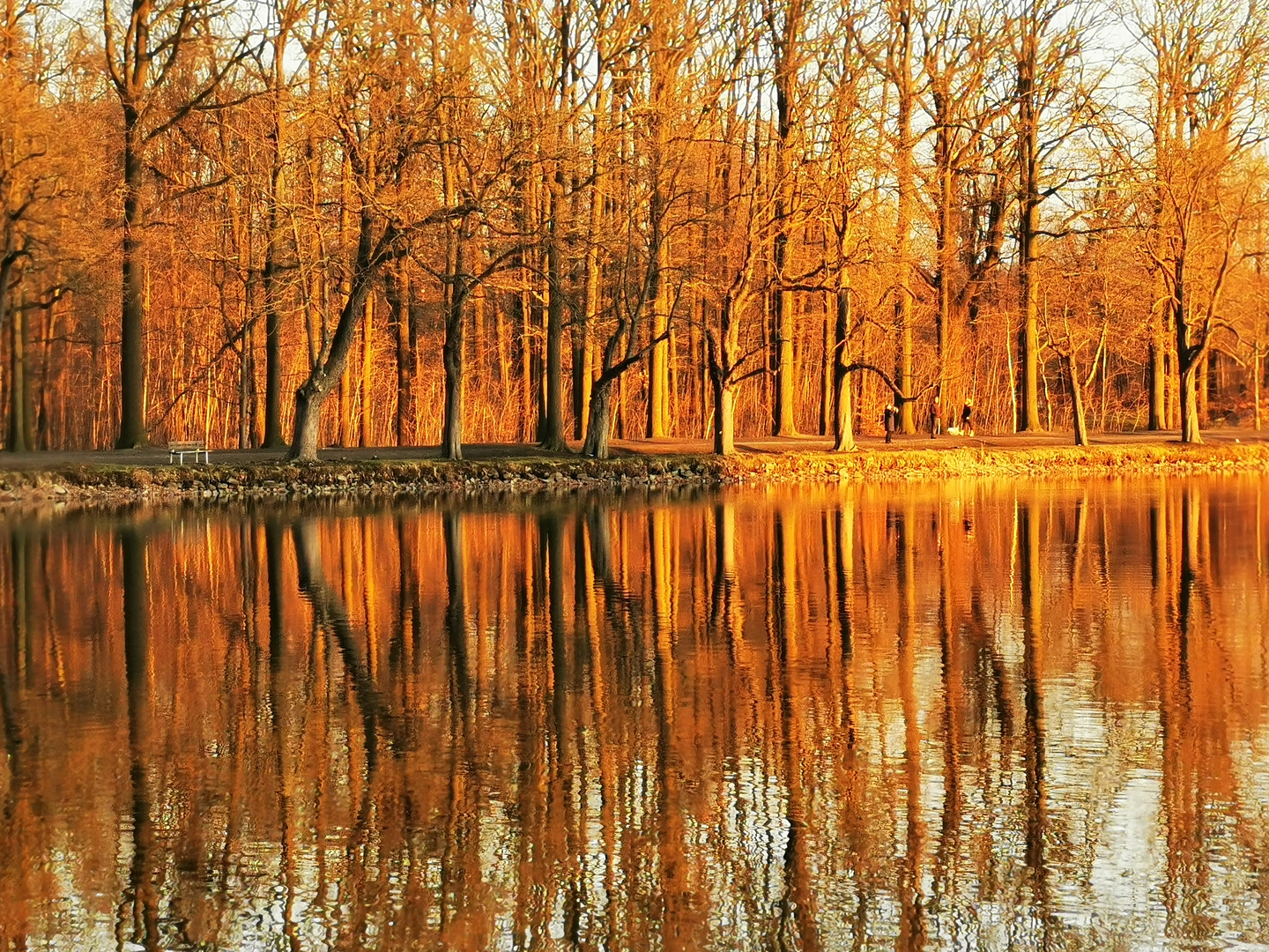 Waldsee