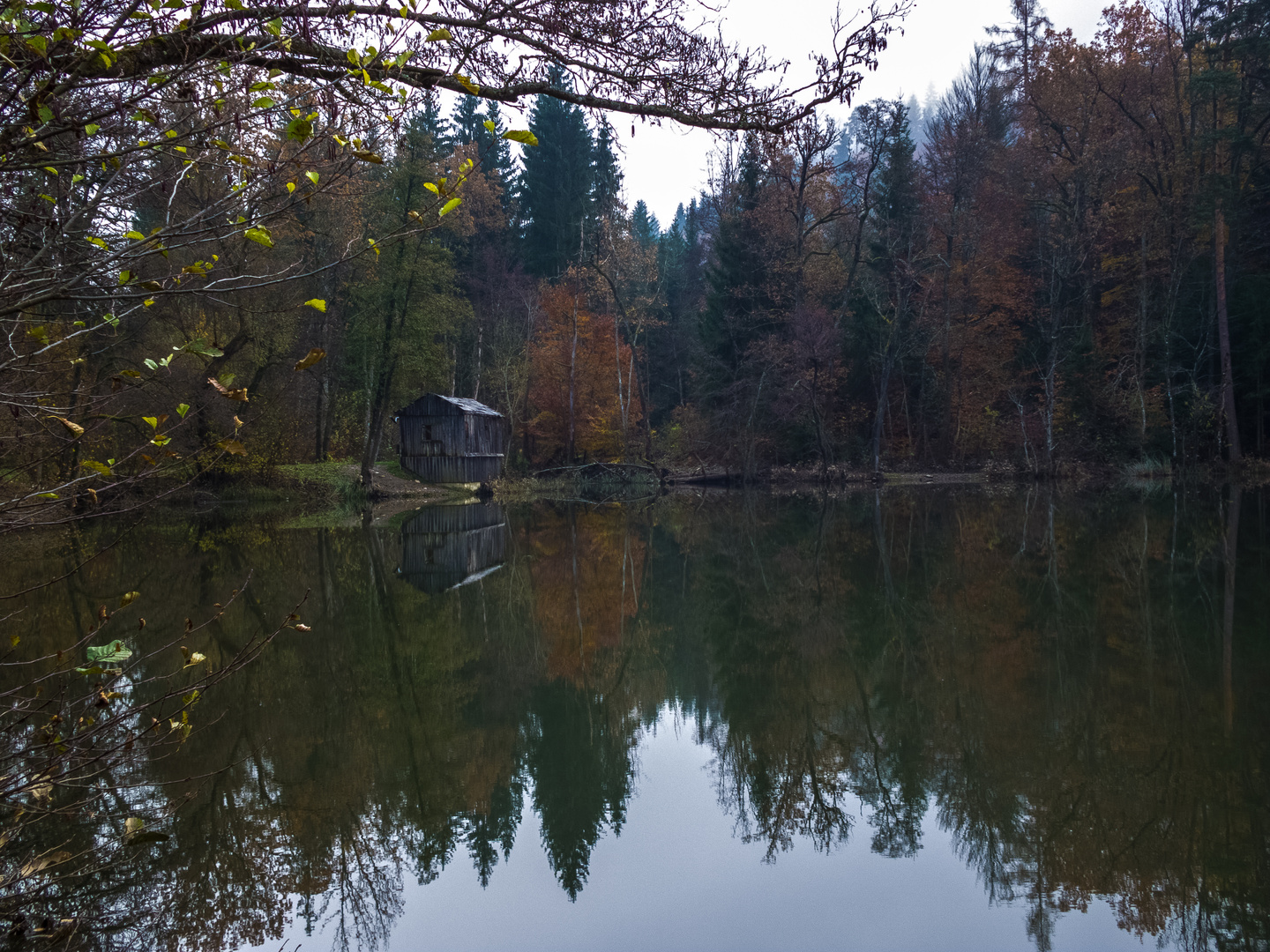 Waldsee