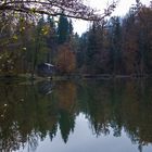 Waldsee