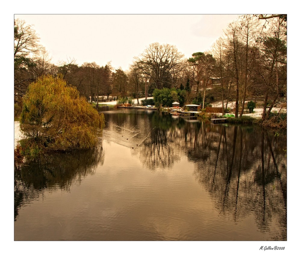 Waldsee