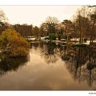 Waldsee