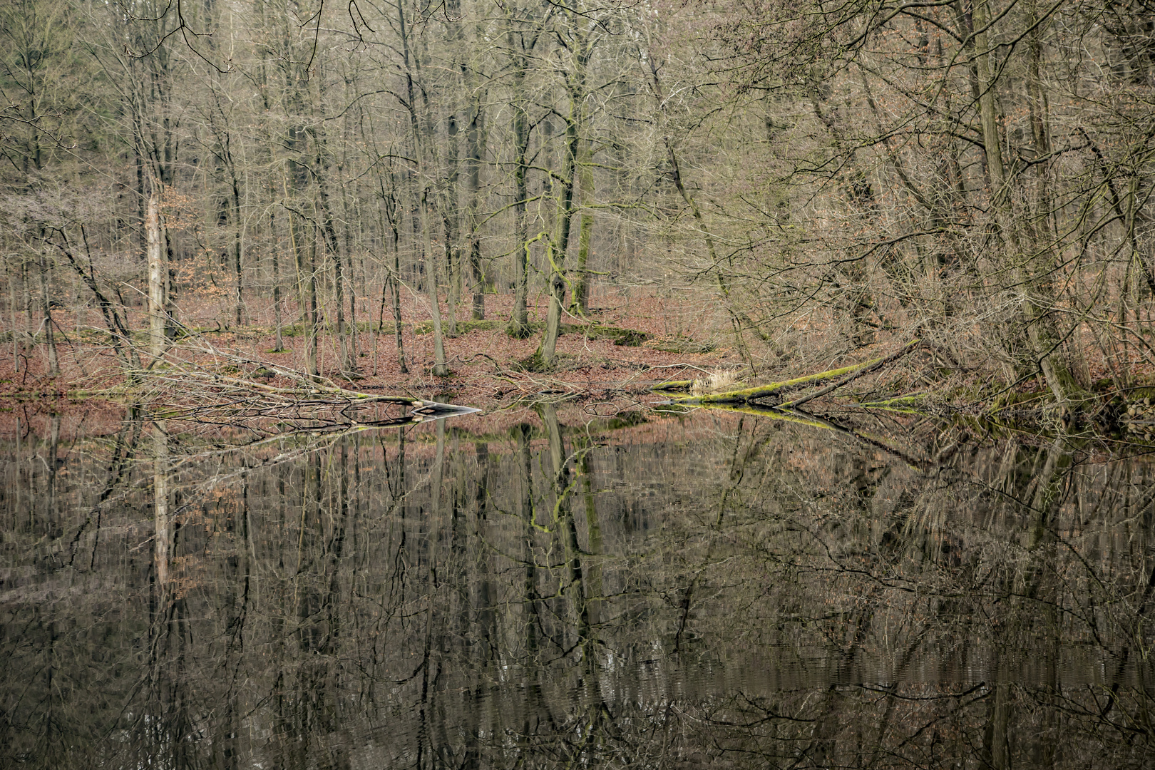 Waldsee