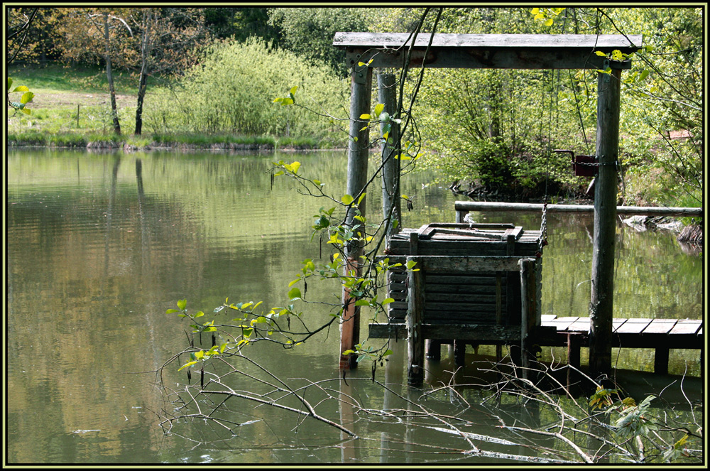 Waldsee