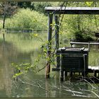 Waldsee