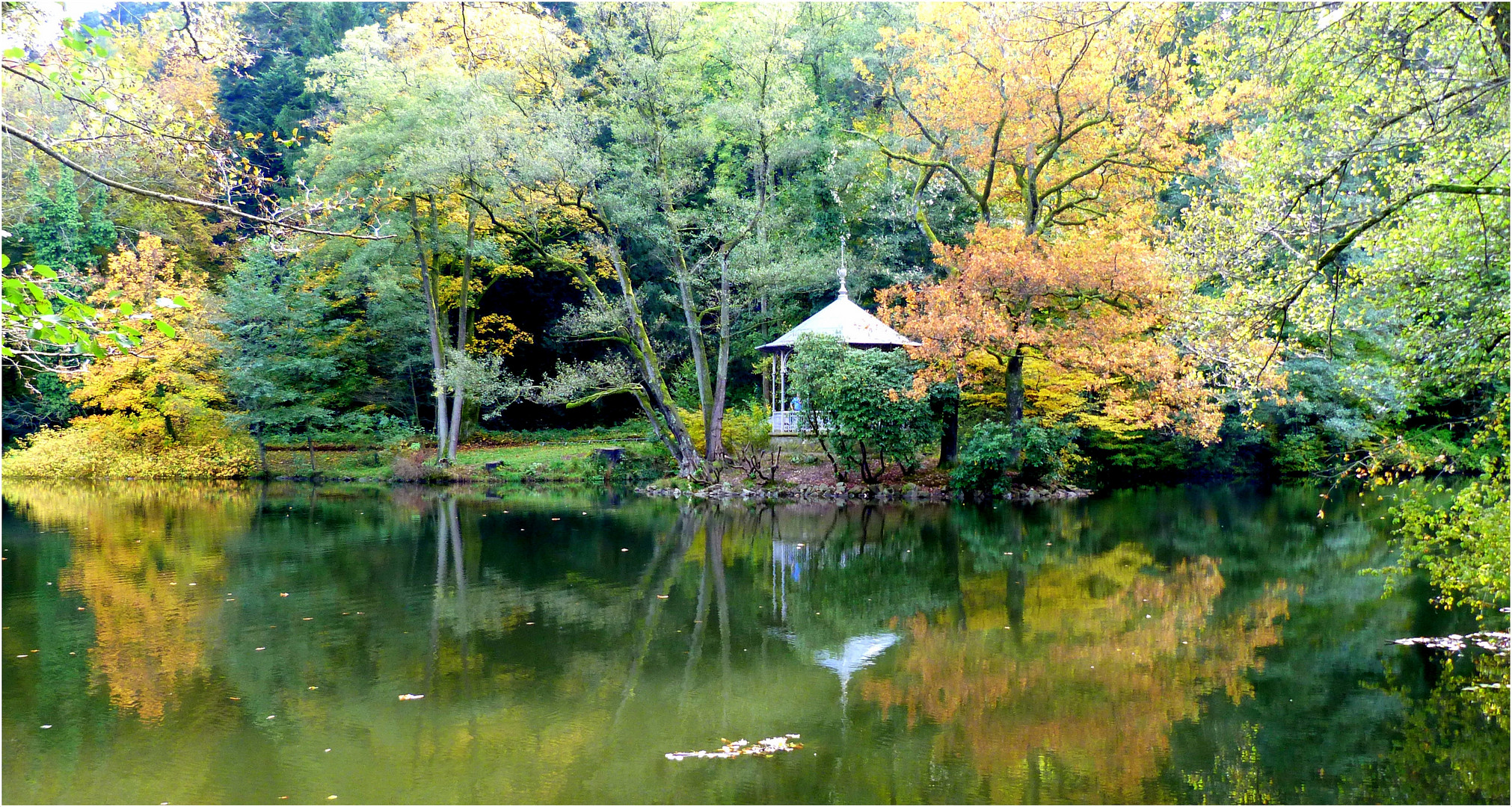 Waldsee