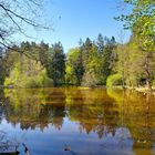 Waldsee