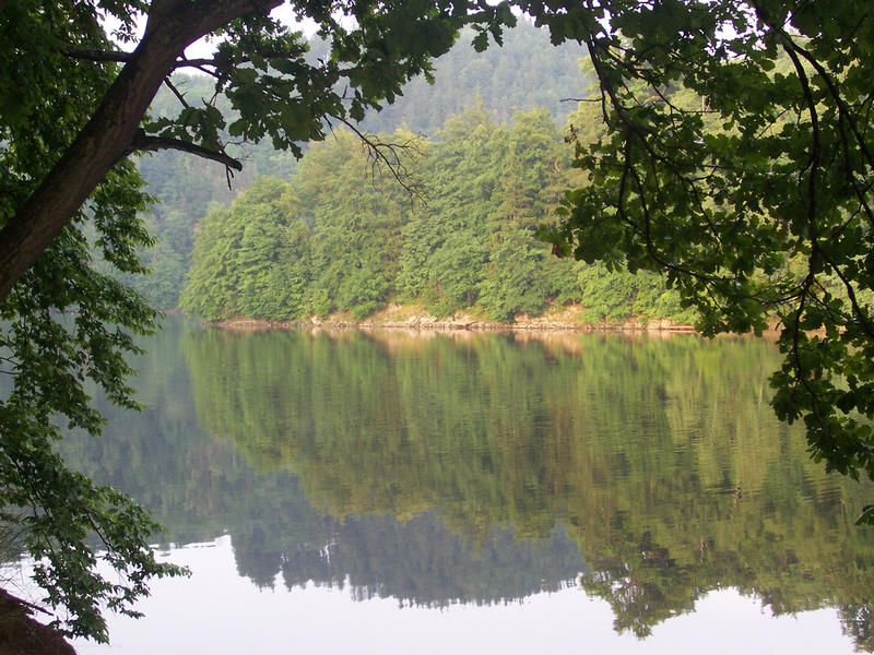 Waldsee