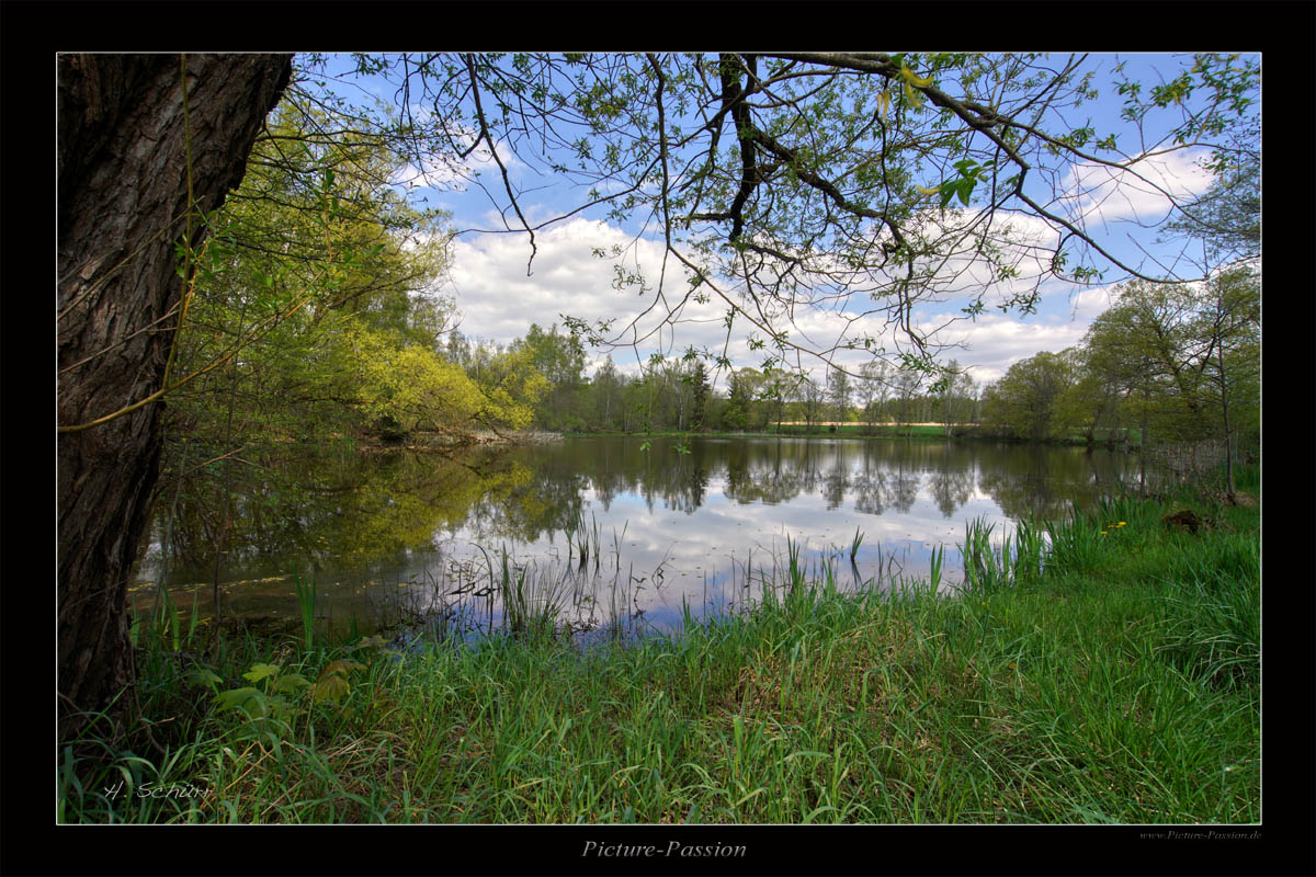 Waldsee