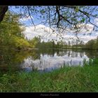 Waldsee