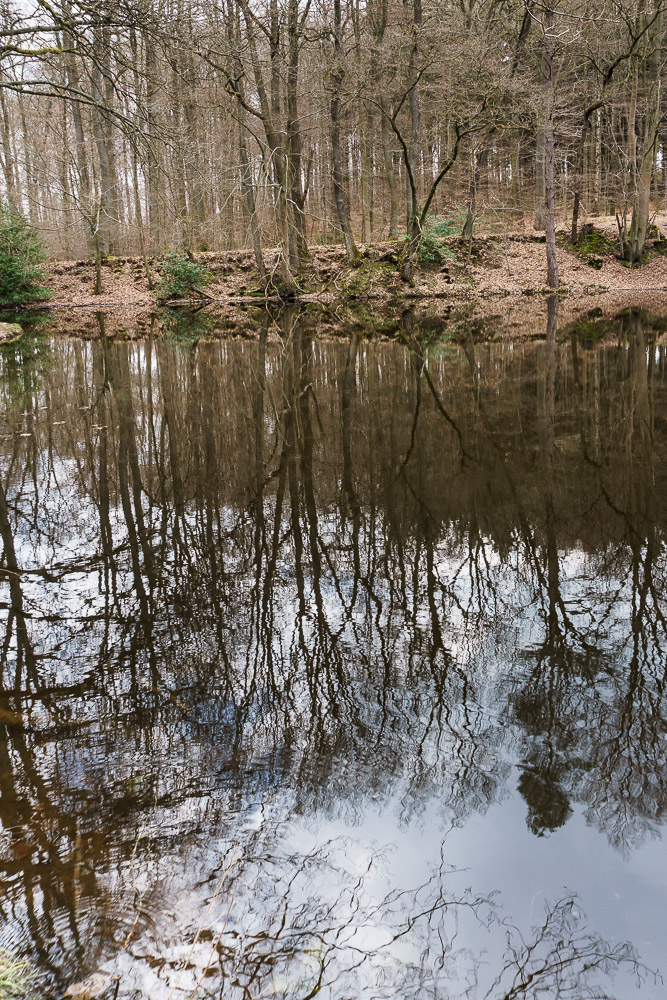 Waldsee