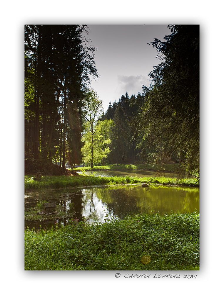 Waldsee