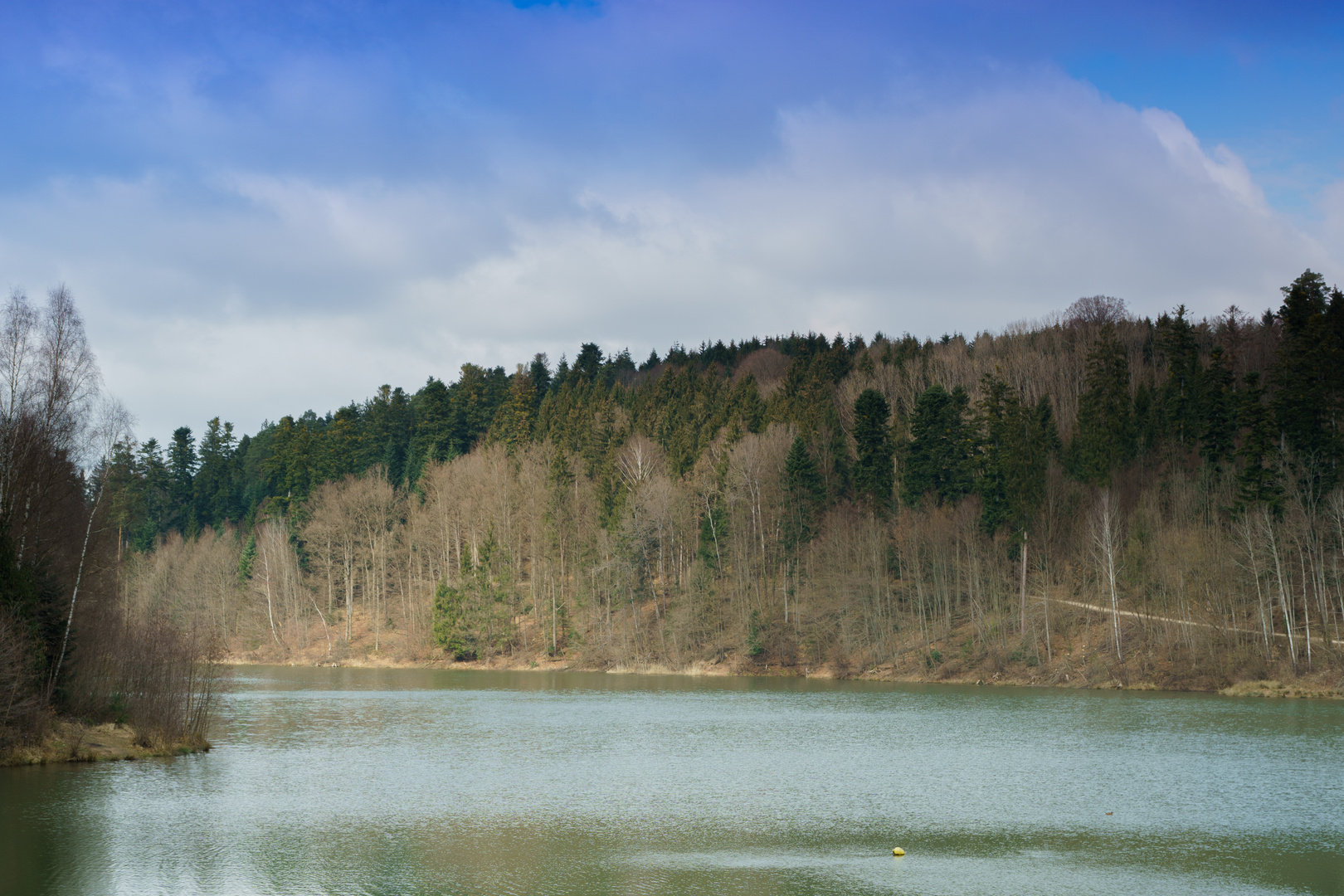 Waldsee