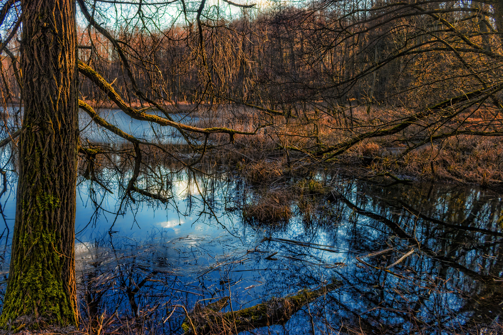 Waldsee