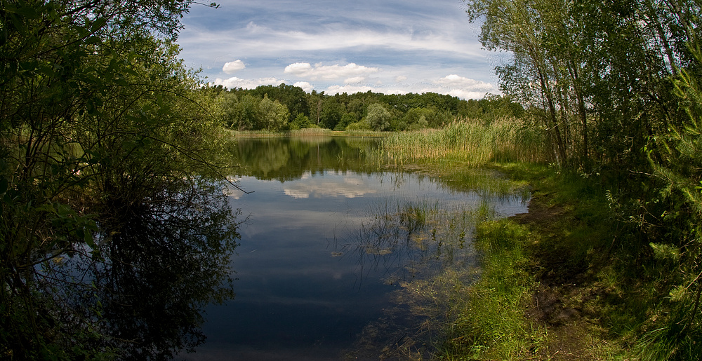 Waldsee