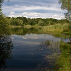 Waldsee