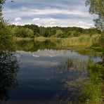 Waldsee