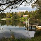 Waldsee