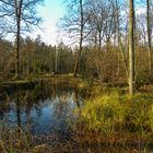 Waldsee