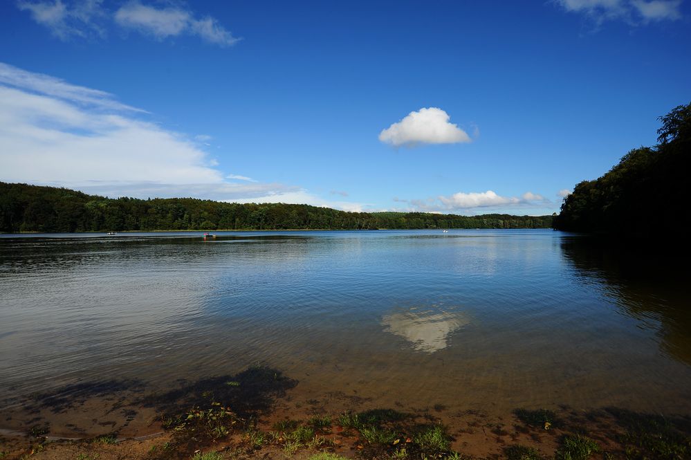 Waldsee