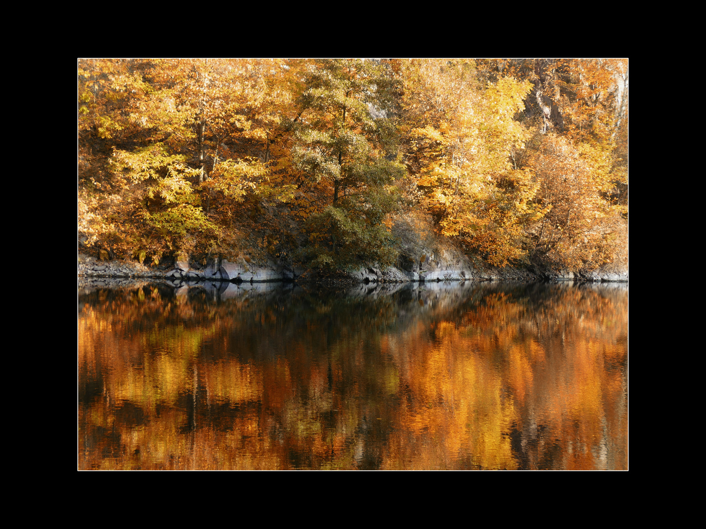 Waldsee...