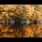 Waldsee...