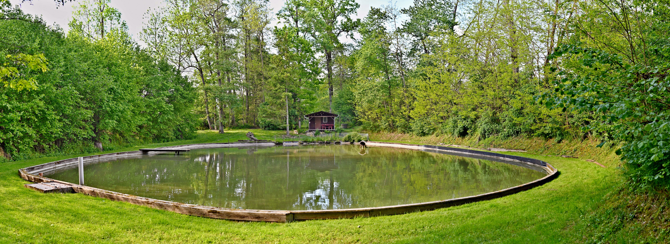 Waldsee