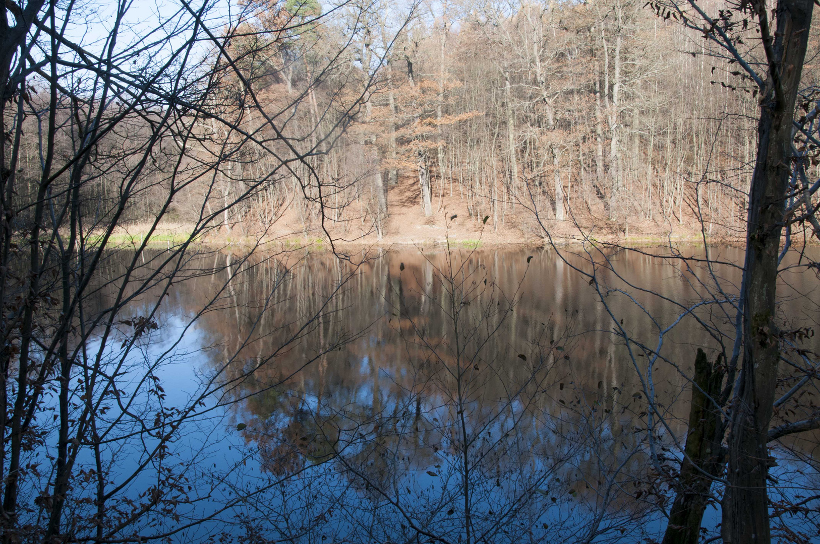 Waldsee