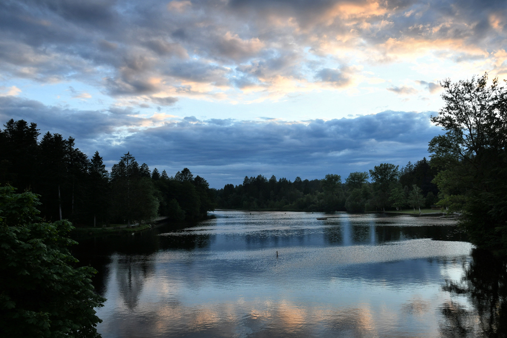 Waldsee Allgäu