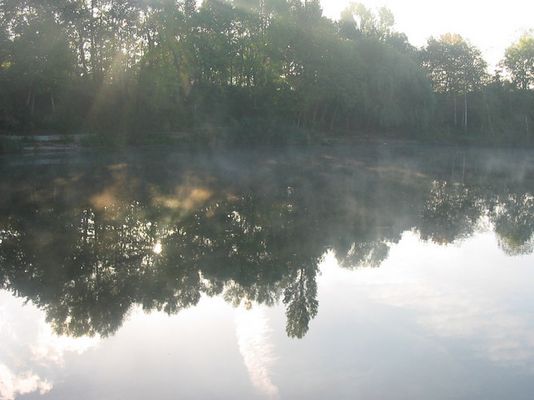 Waldsee am Morgen