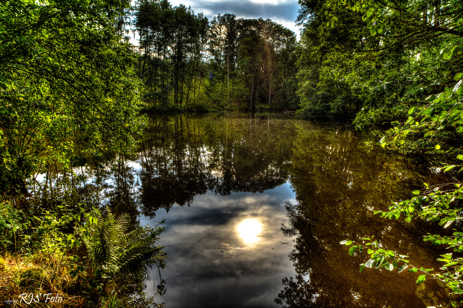 Waldsee am Nachmittag