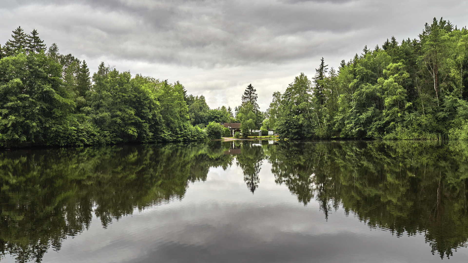 Waldsee Argenthal | Hunsrück