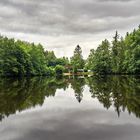 Waldsee Argenthal | Hunsrück